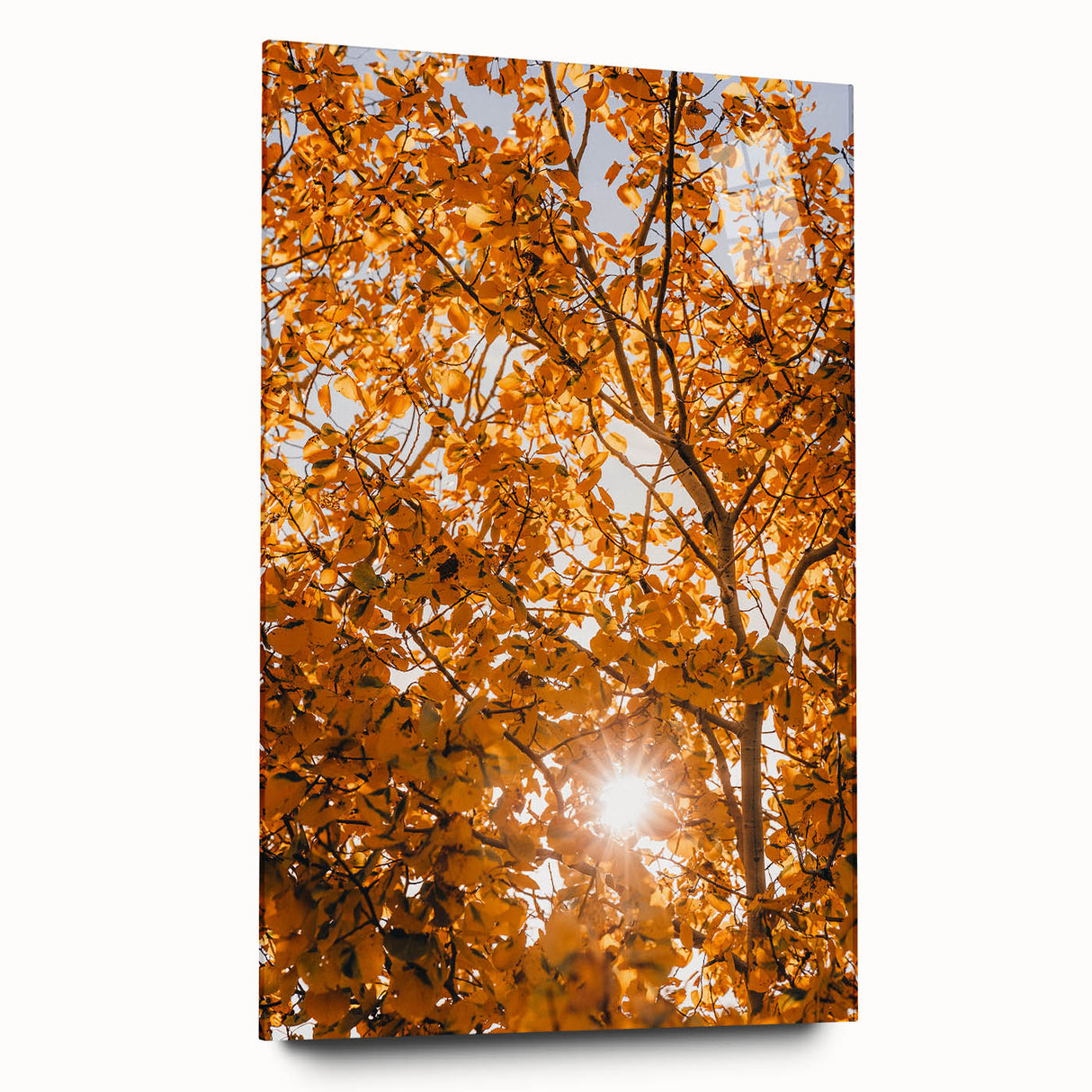 Large abstract wall art on acrylic glass depicting swirling autumnal hues, ideal for bedroom or dining room decor.