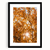 Abstract art print featuring textured fall foliage in vibrant red and orange, framed in black, ideal for living room decor.