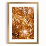 Extra large abstract art print depicting autumnal colors on a textured canvas, framed in gold, ideal for living room decor.
