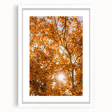 Abstract art print featuring autumnal hues on a white framed canvas, ideal for dining room or bedroom decor.