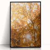 Large abstract wall art featuring autumnal colors on a black framed acrylic, suitable for modern living room decor.