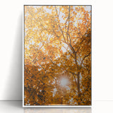 Art deco poster featuring an autumnal scene with warm orange and brown tones, framed in white acrylic.