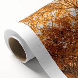 Art deco poster featuring autumnal trees in warm orange and red tones on rolled canvas, suitable for nursery wall art.