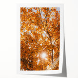 Extra large rolled print depicting a muted fall floral scene, ideal for art wall dining room or classy bathroom decor.