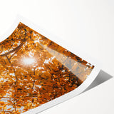 Extra large wall art featuring line art flowers in muted autumnal colors, printed on rolled canvas.