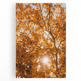 Large black and white abstract design on stretched canvas, ideal for kitchen wall art.