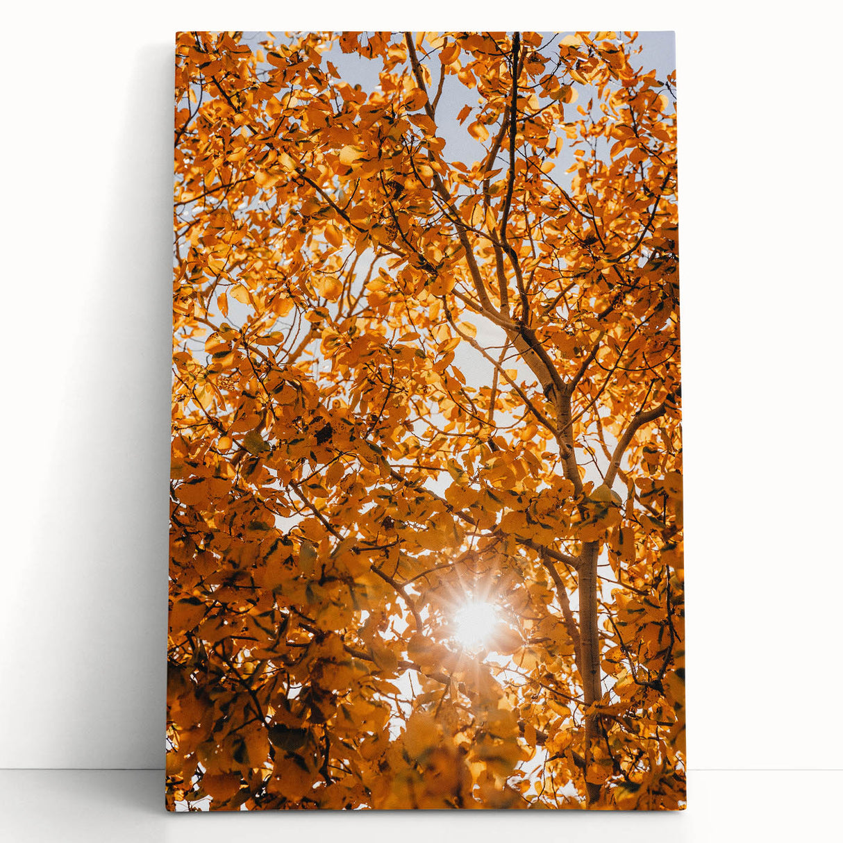 Large black and white stretched canvas featuring a minimalist fall tree design.