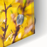 Large abstract wall art in pastel shades on acrylic glass, featuring mid-century modernist style, ideal for dining room art.