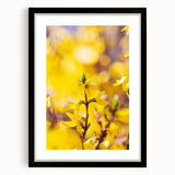 Extra large abstract art print featuring vibrant spring hues on textured canvas, framed in black.