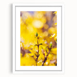 Abstract art print depicting spring with vibrant green and soft pink tones, framed in white, ideal for dining room decor.