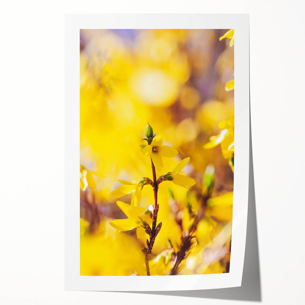 Spring floral art on rolled canvas with vibrant green and pink tones, ideal for dining room or bathroom decor.