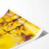 Extra large rolled print featuring line art flowers in pastel shades, ideal for large living room wall art.