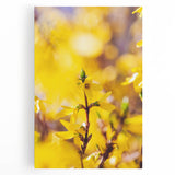 Black and white abstract depiction of spring on large stretched canvas, suitable for kitchen art.