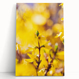 Large black and white canvas print of spring-themed design, ideal for kitchen wall art or bedroom ambiance.