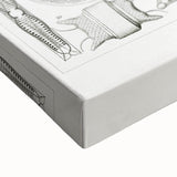 Modern Wall Art - Ernst Haeckel’s Diatomea Illustration Print