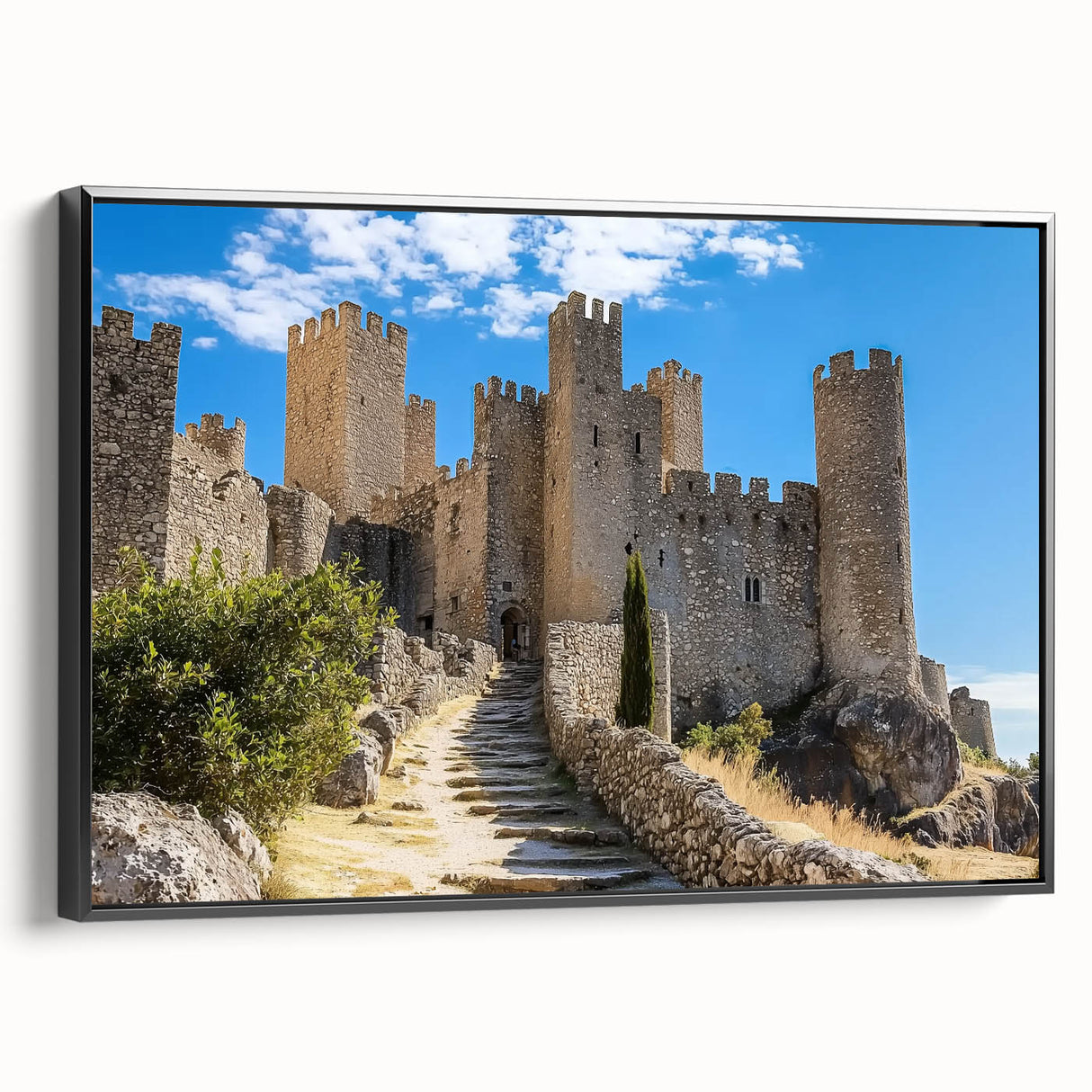 Framed canvas artwork showcasing a picturesque landscape with a majestic castle, presented in a sleek black frame, emphasizing intricate details and vibrant colors.