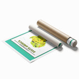 Educational Nursery Wall Decor – North America Continent Map