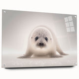 Adorable Baby Seal Wall Art - Perfect for Kids Room Decor