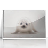 Adorable Baby Seal Wall Art - Perfect for Kids Room Decor