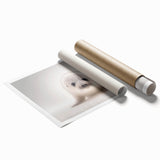 Adorable Baby Seal Wall Art - Perfect for Kids Room Decor