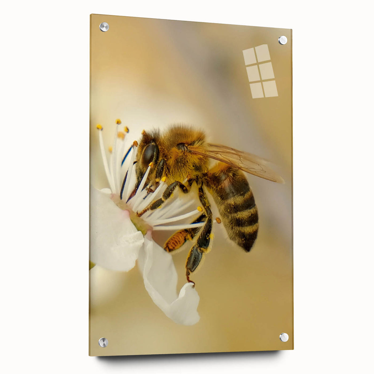 Large abstract wall art depicting spring season colors on acrylic glass, suitable for bedroom or dining room decor.