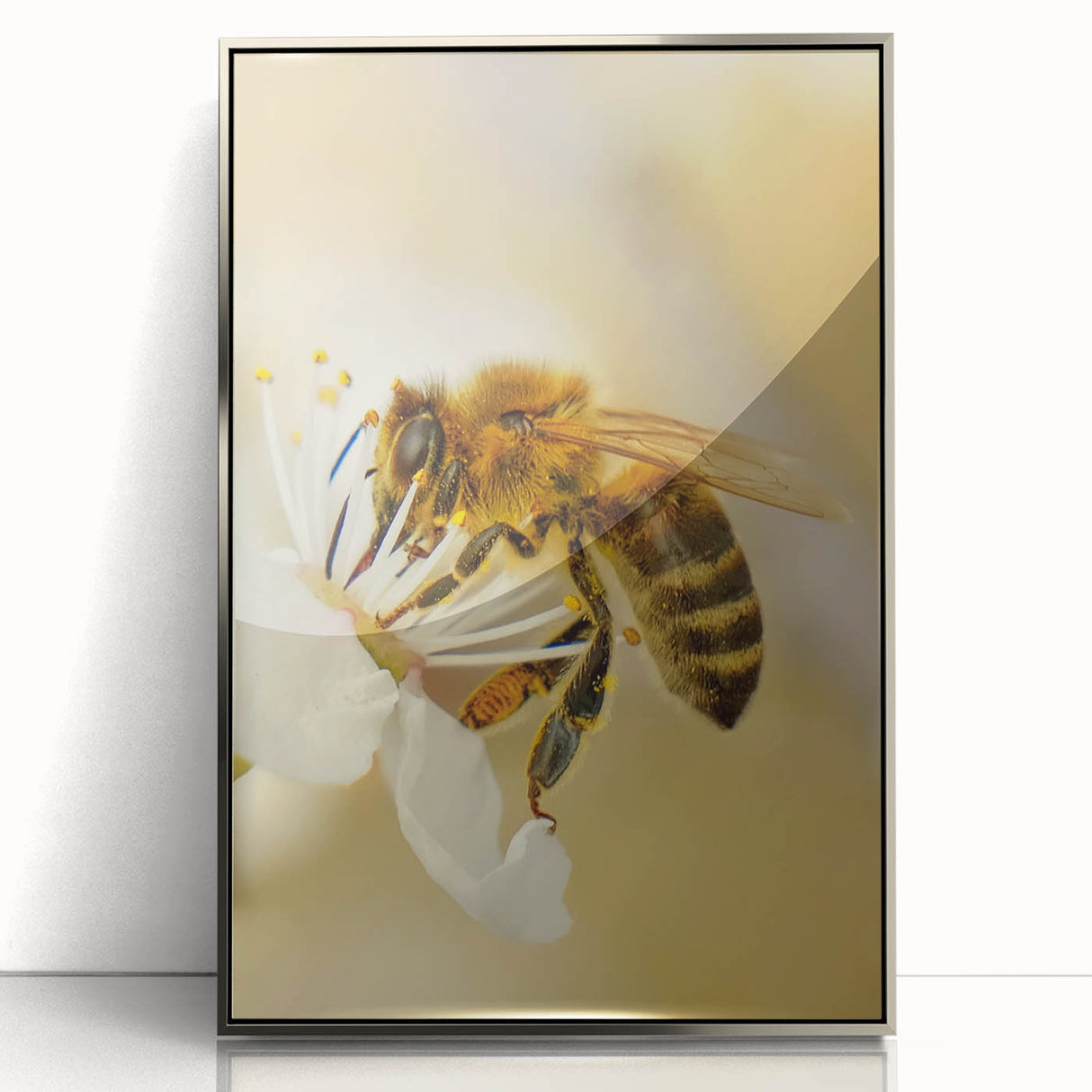 Mid-century modernist art featuring abstract spring motifs in pastel shades, framed in silver acrylic.