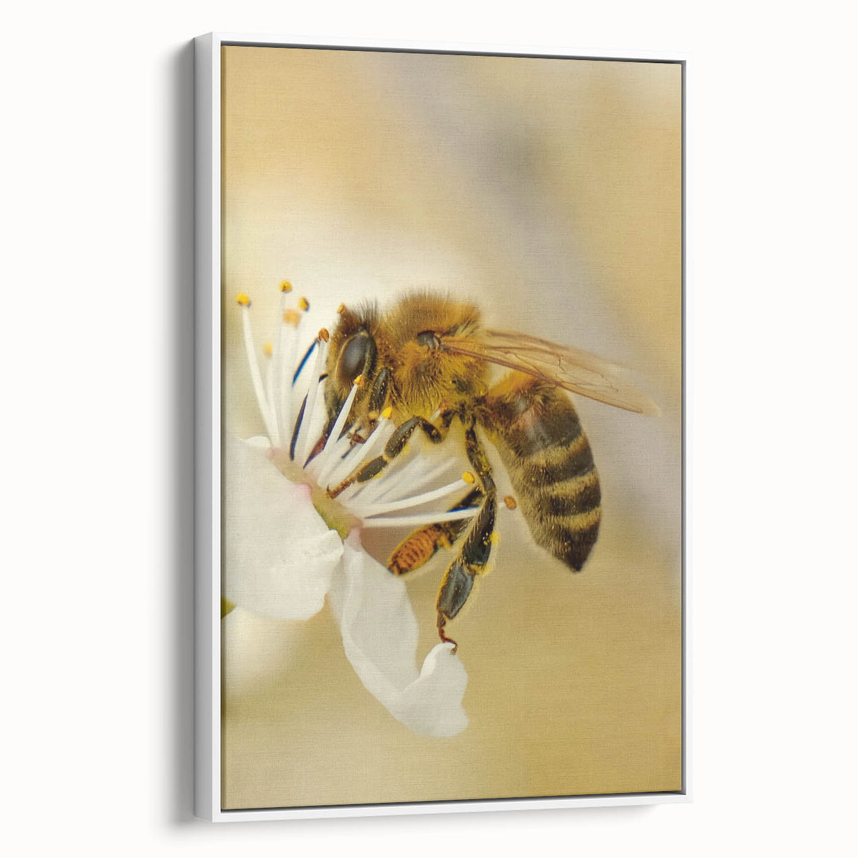 Vintage poster art of a spring scene on a large framed canvas, featuring vibrant colors on a black background.