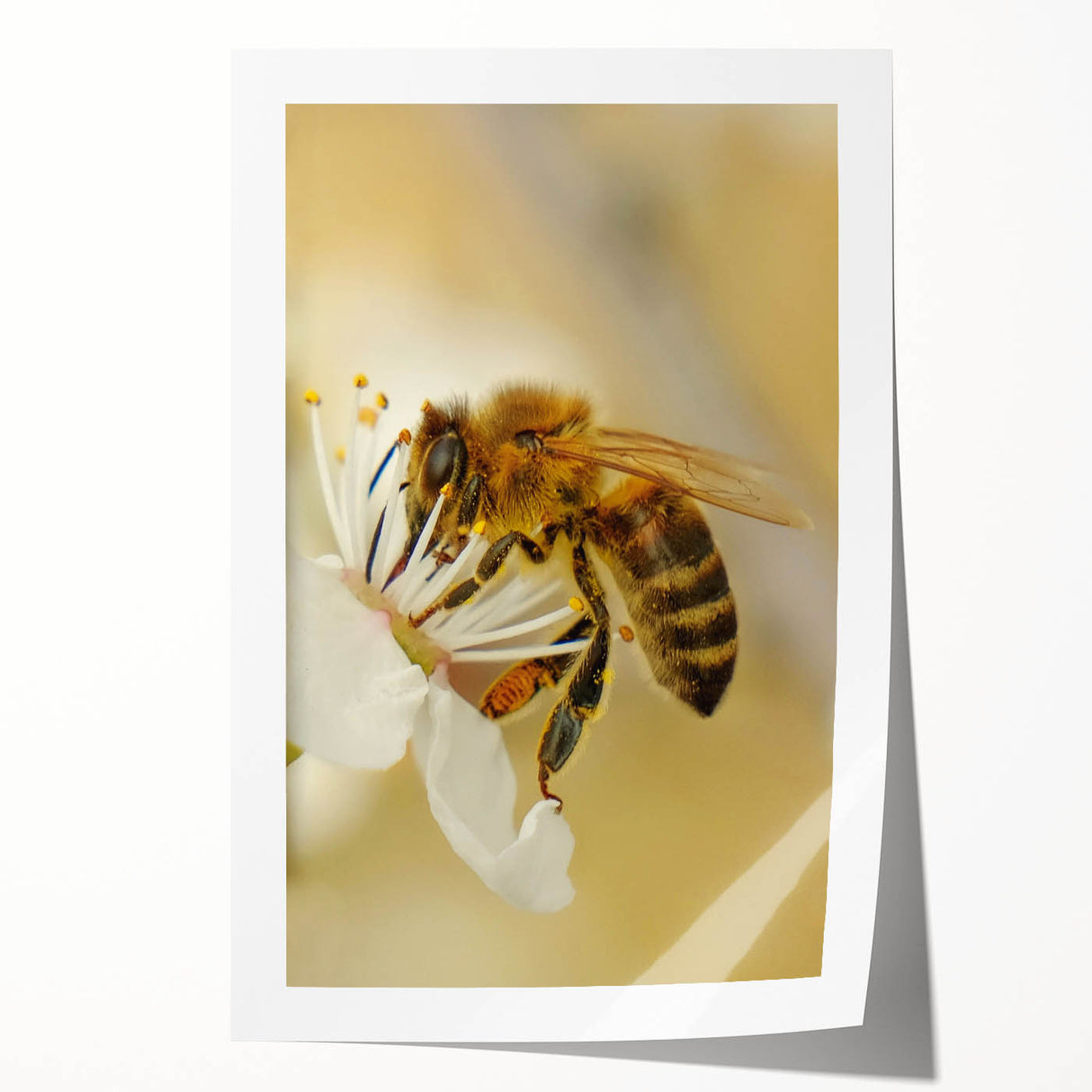Spring floral art on rolled canvas, featuring soft pastel hues, ideal for dining room wall decor.