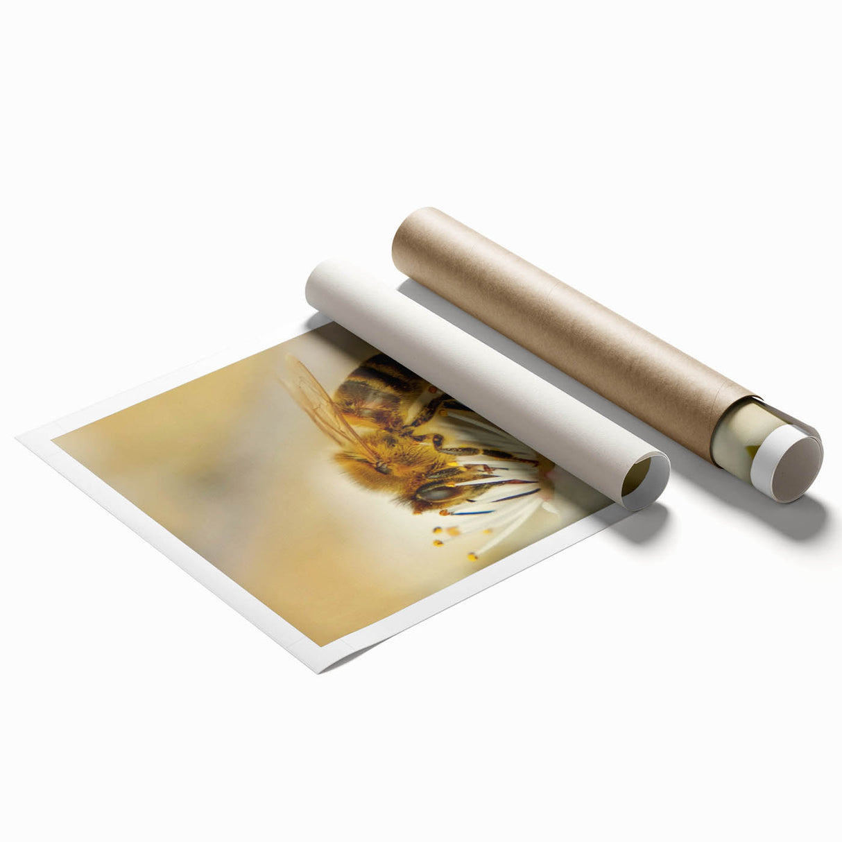 Extra large rolled canvas depicting spring florals in soft pastel shades.