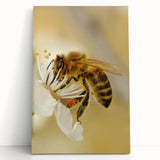Large black and white abstract print on stretched canvas, featuring dynamic brush strokes, ideal for kitchen wall art.