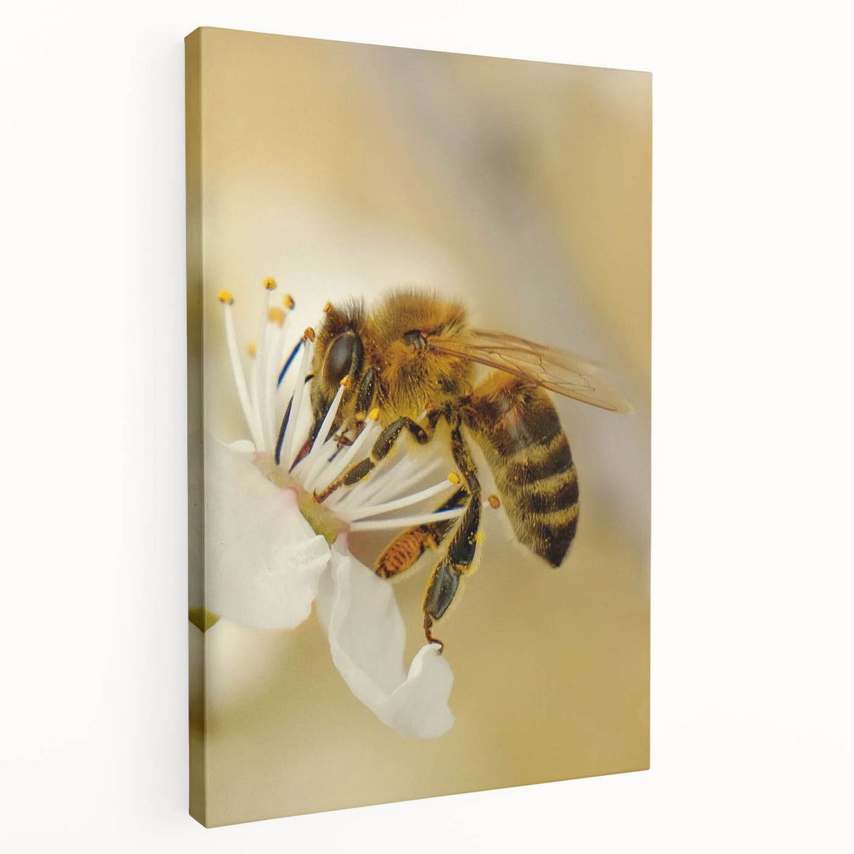 Spring-themed stretched canvas featuring soft pastel colors and floral imagery, ideal for kitchen wall art.