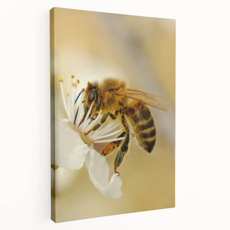 Spring-themed stretched canvas featuring soft pastel colors and floral imagery, ideal for kitchen wall art.