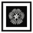Modern Monochrome Art: Intricate Brittle Star Illustration