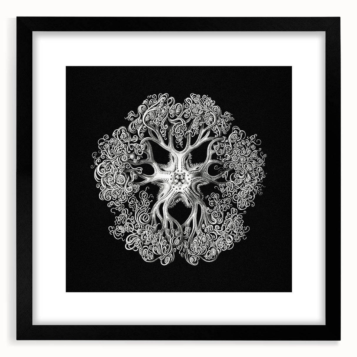 Modern Monochrome Art: Intricate Brittle Star Illustration
