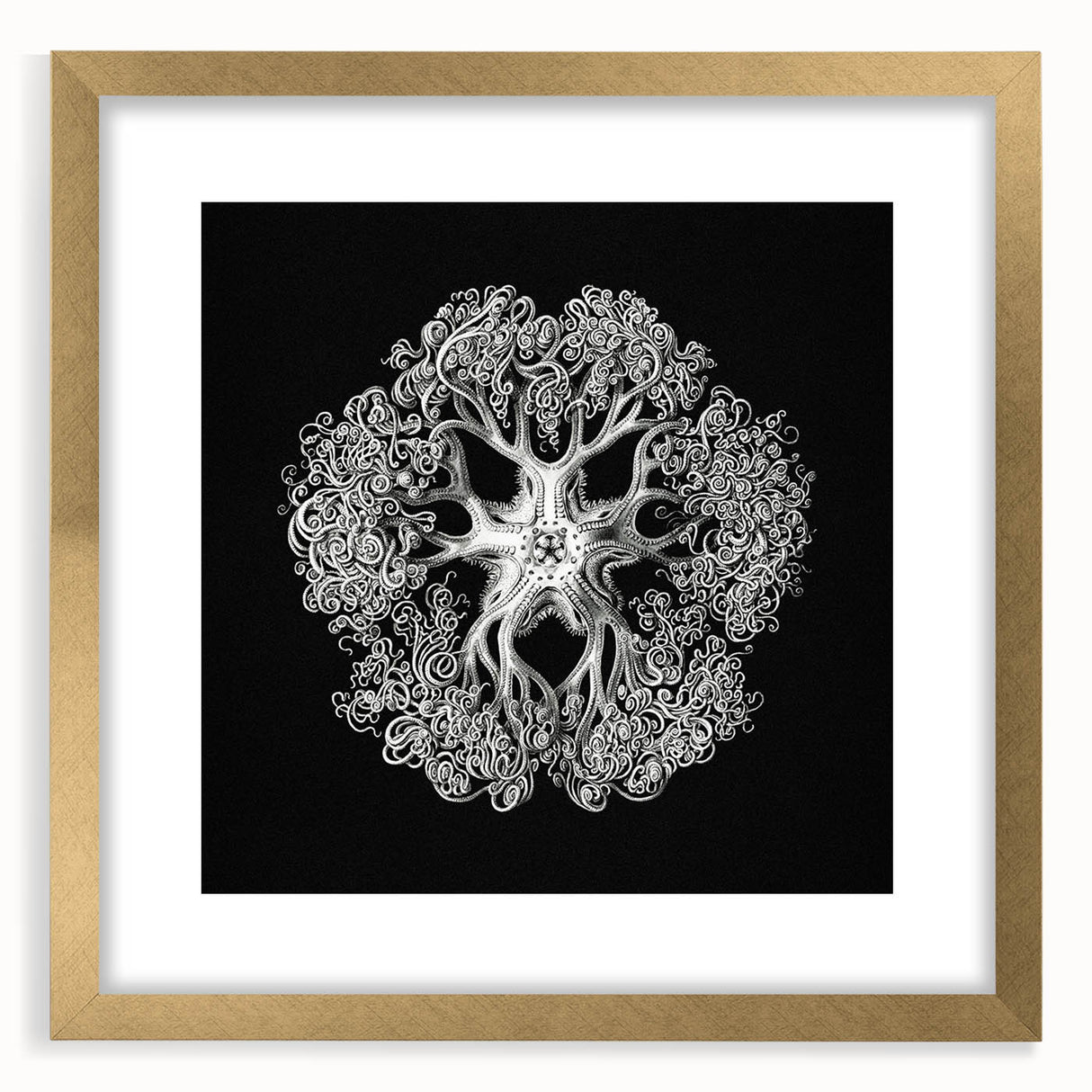 Modern Monochrome Art: Intricate Brittle Star Illustration