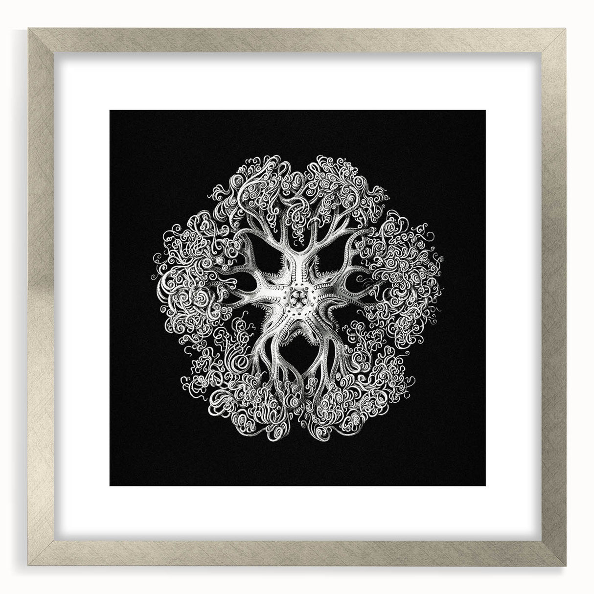Modern Monochrome Art: Intricate Brittle Star Illustration