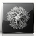 Modern Monochrome Art: Intricate Brittle Star Illustration
