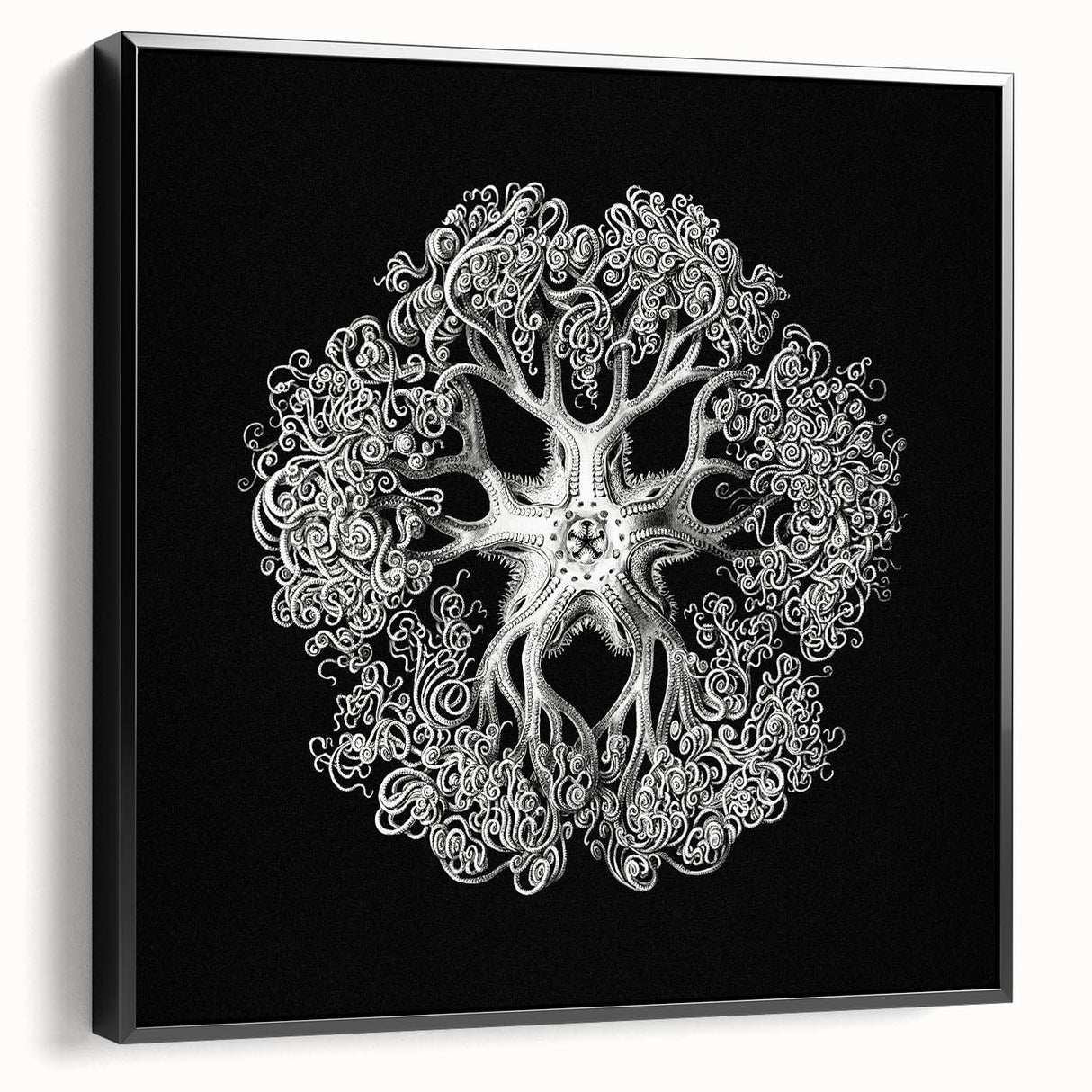 Modern Monochrome Art: Intricate Brittle Star Illustration