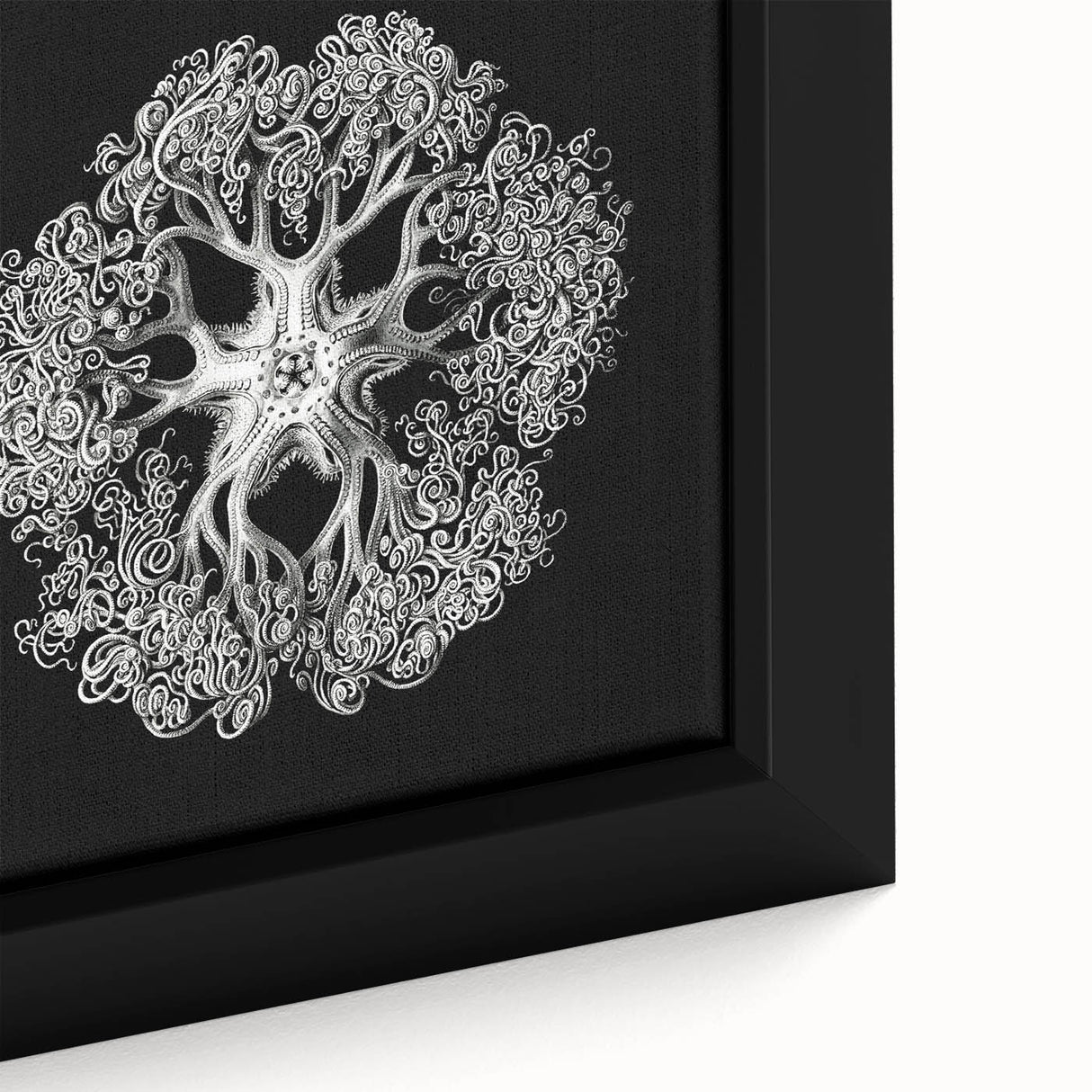 Modern Monochrome Art: Intricate Brittle Star Illustration