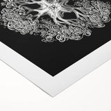 Modern Monochrome Art: Intricate Brittle Star Illustration