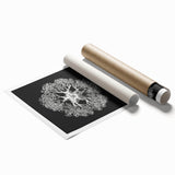 Modern Monochrome Art: Intricate Brittle Star Illustration