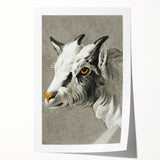 Romantic Goat Portrait by Jean-Bernard - Historical Romantic Canvas