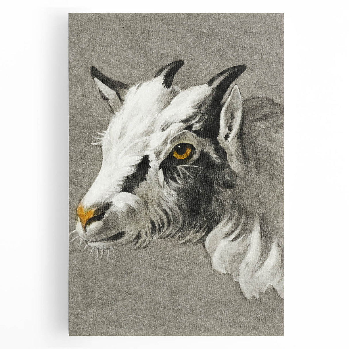 Romantic Goat Portrait by Jean-Bernard - Historical Romantic Canvas