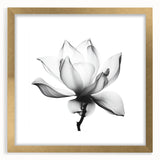 Canvas Art for Dining Area - Black & White Lotus Flower Print