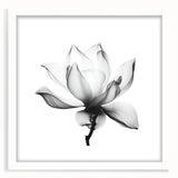 Canvas Art for Dining Area - Black & White Lotus Flower Print