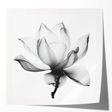 Canvas Art for Dining Area - Black & White Lotus Flower Print