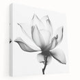 Canvas Art for Dining Area - Black & White Lotus Flower Print