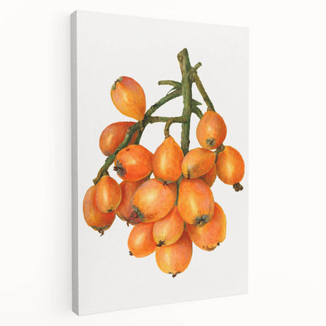 Large canvas print featuring an array of colorful fruits, ideal for kitchen wall art.