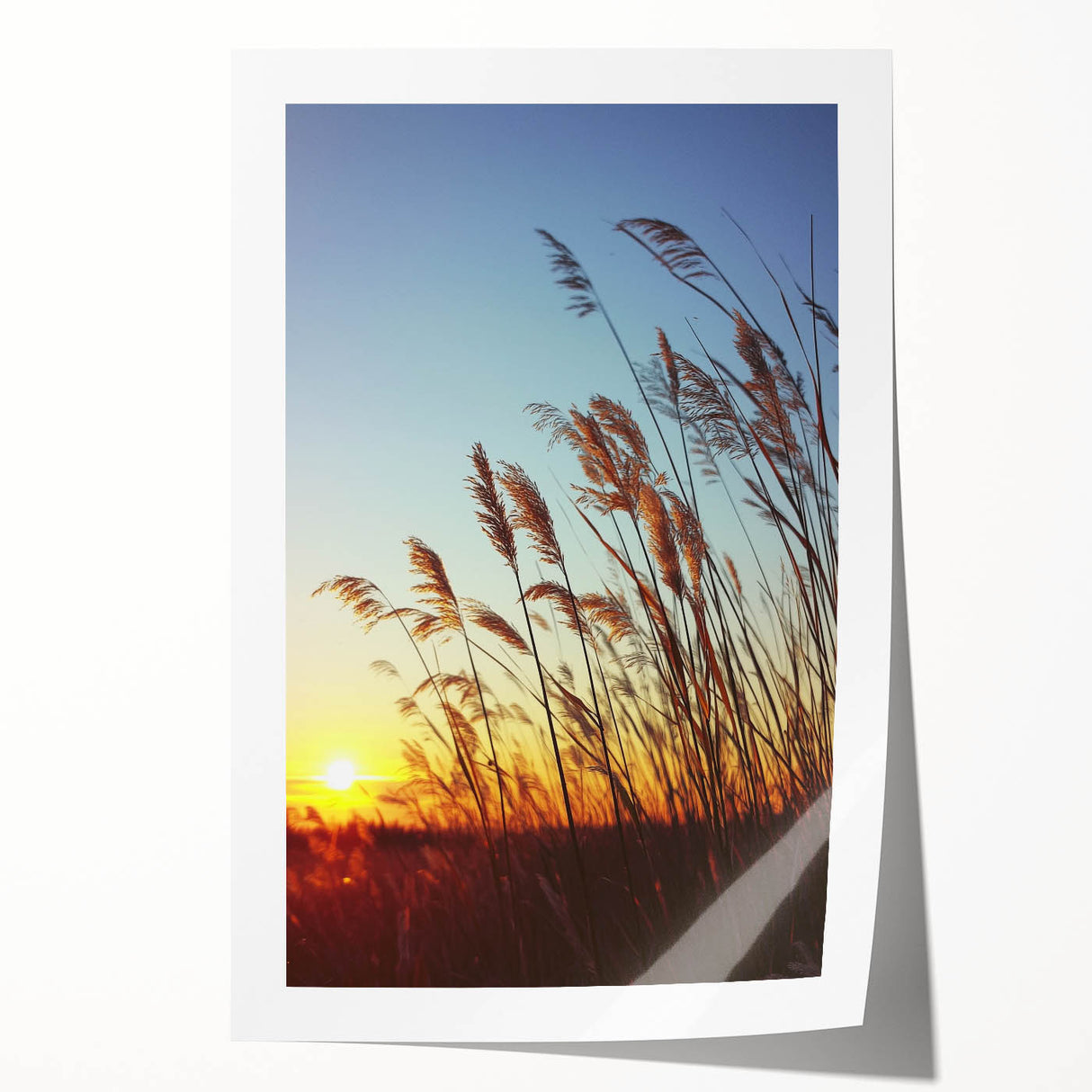 Vibrant rolled print showcasing a serene countryside landscape with rolling hills and a clear blue sky, elegantly packaged in a protective cardboard tube for easy transport.