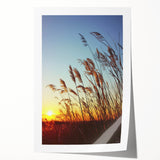 Vibrant rolled print showcasing a serene countryside landscape with rolling hills and a clear blue sky, elegantly packaged in a protective cardboard tube for easy transport.